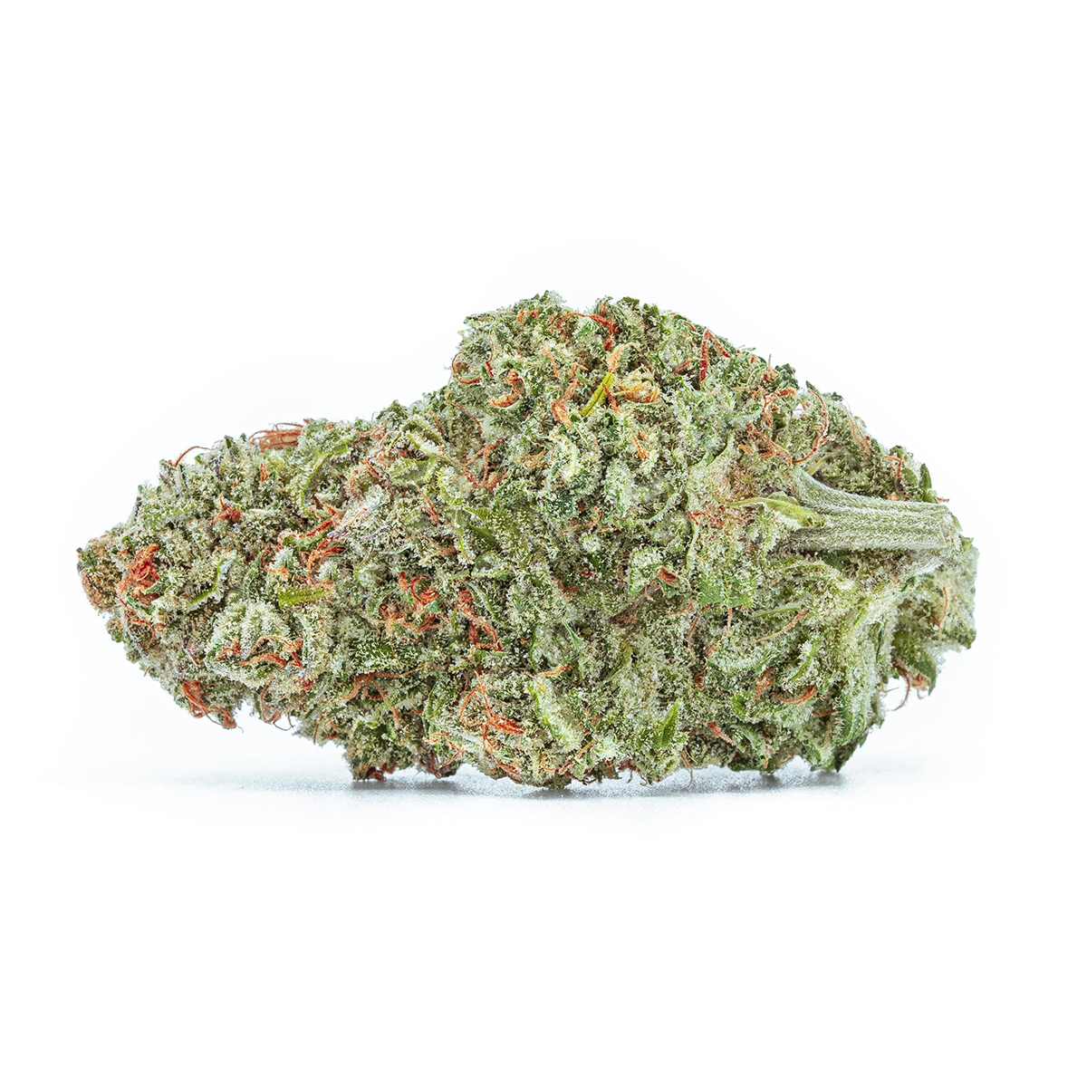 Highly Dutch Organic - Amsterdam Sativa
