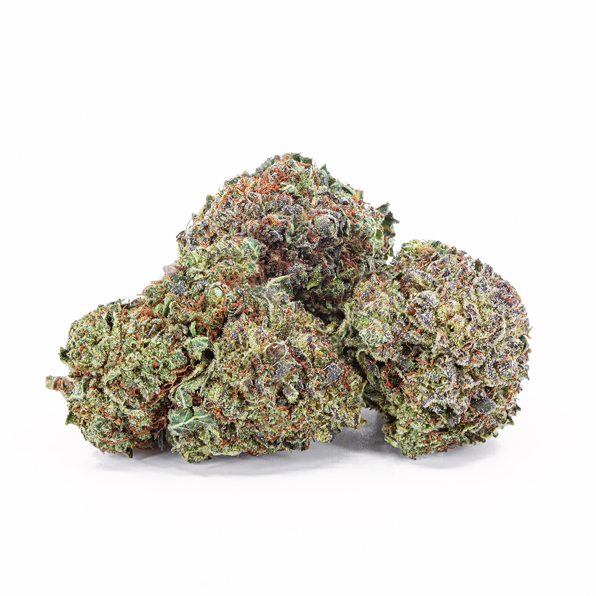 Highly Dutch Organic - Rotterdam Indica