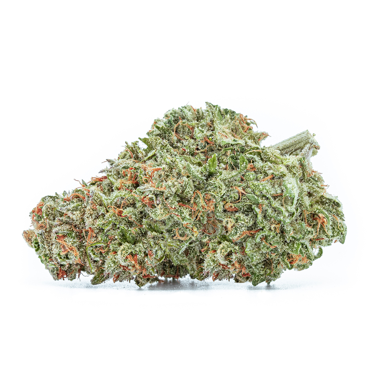 TGOD - Organic Sugar Bush